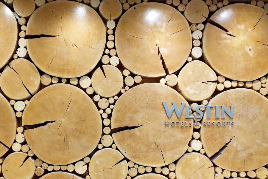 The Westin Whislter 01