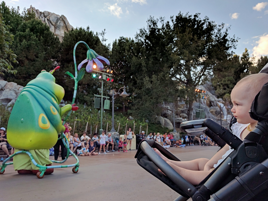 Strollers in Disneyland