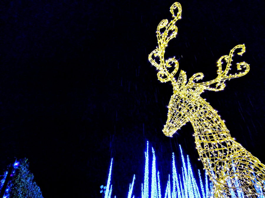 Enchant Christmas in Vancouver