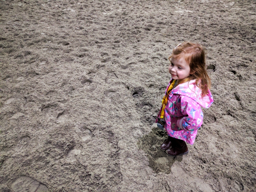 Cavalia Odysseo in Vancouver, preschooler during VIP experience standing on the sand mountain