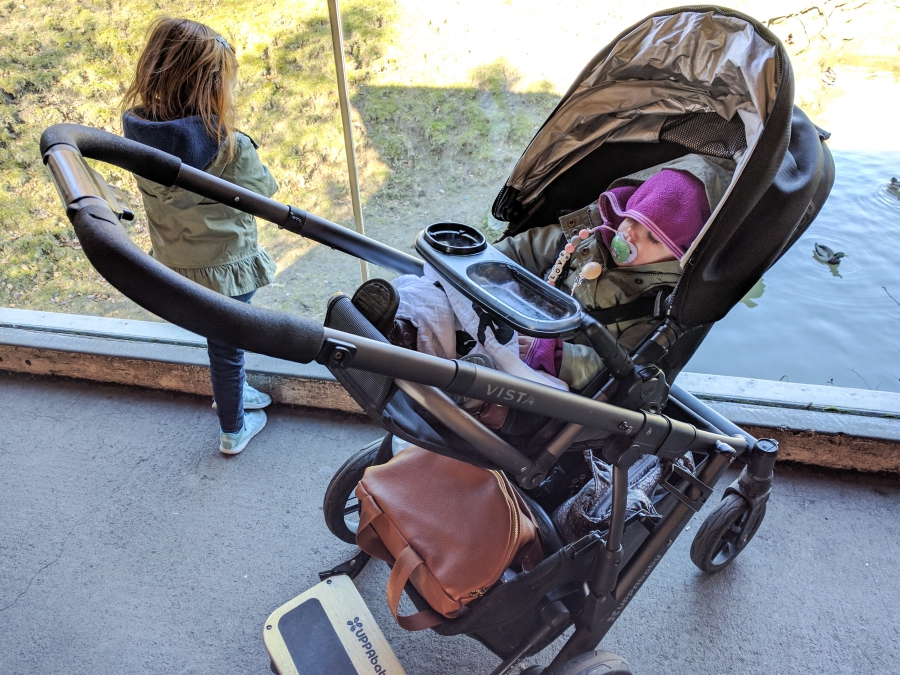 Family Day: Woodland Park Zoo, toddler asleep in her stroller, preschooler looking in an exhibit