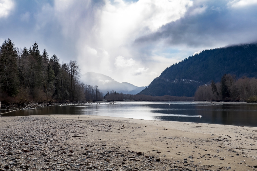 Squamish River Estuary, view of the river and riverbed