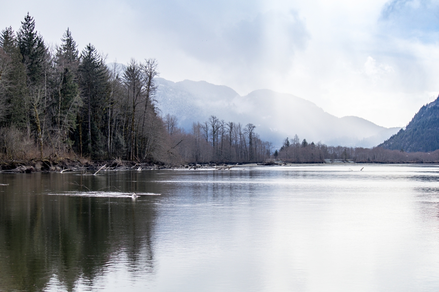 Squamish River Estuary, view of the river and mountains