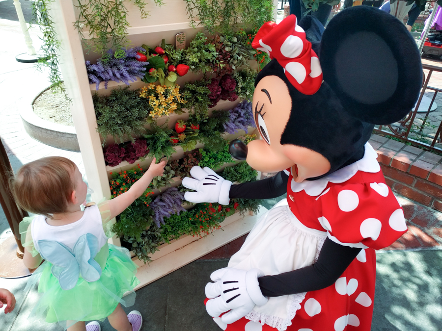 Taking a toddler to Disneyland. Character breakfast. Plaza Inn. Breakfast with Minnie Mouse. 