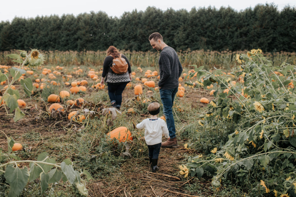 Rules of the Pumpkin Patch with a Kindergartener and Toddler. 