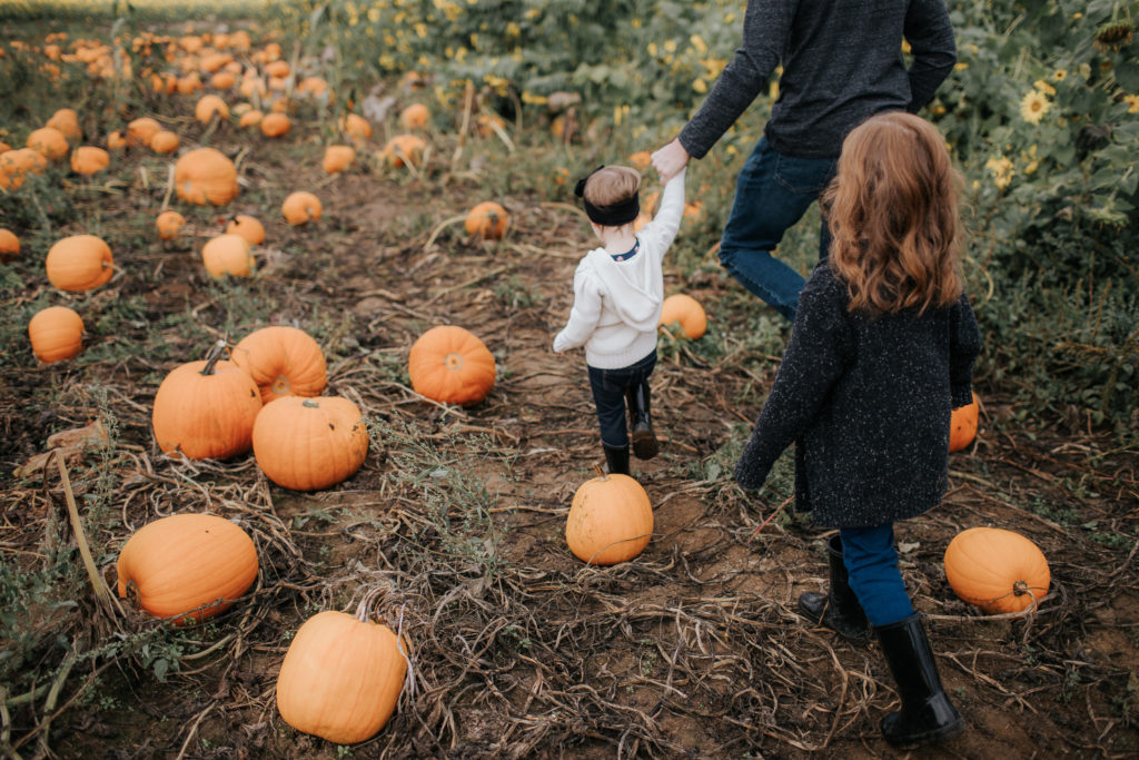 Rules of the Pumpkin Patch with a Kindergartener and Toddler. 