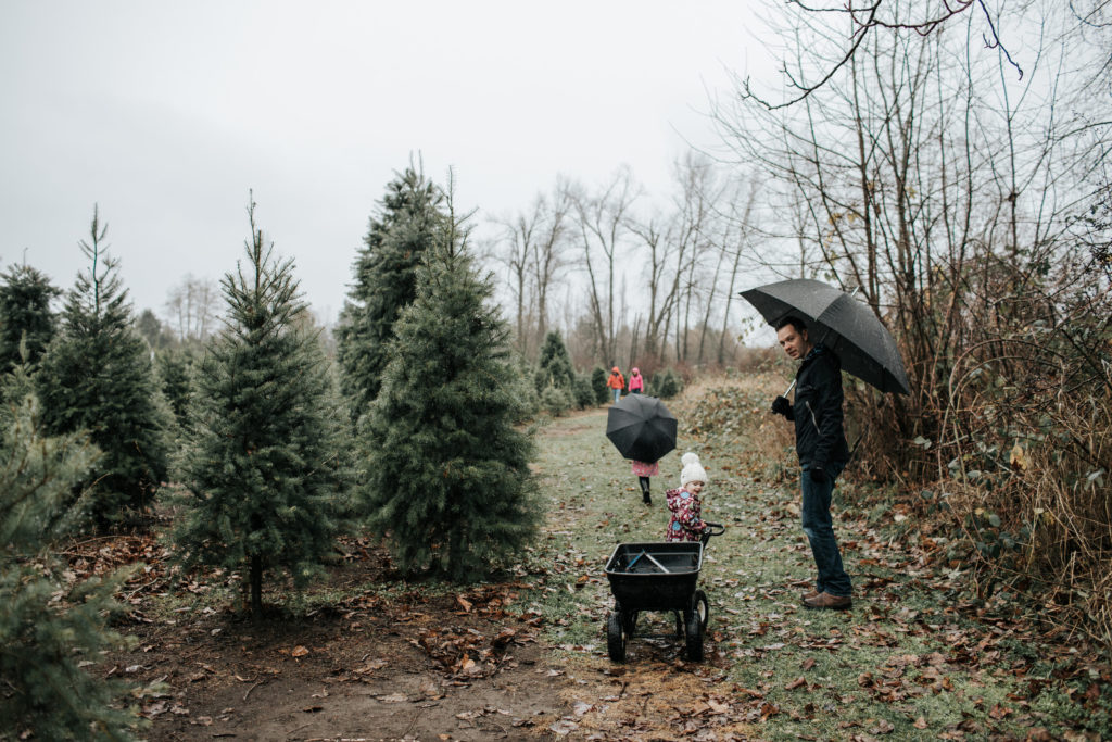 Brave. Family. Marriage. Husband and Wife, cancer, Movember, Christmas tree farm. Family Photos. 